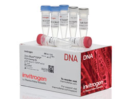 Zero Blunt TOPO PCR Cloning Kit, without competent cells TOPO cloning kit with PCR buffer, dNTPs, control template and TOPO vector, reverse primers and sterile water