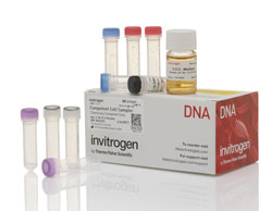 Competent Cell Sampler Sample of cone shot Mach1 cells, OmniMax2 cells, Stbl3 cells and TOP10 cells