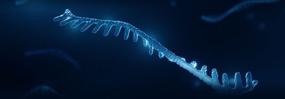 Biomarker-discovery-pod2 Biomarker-discovery-pod2