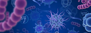 Microbial-identification-pod1 Microbial-identification-pod1