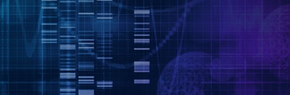 Therapeutic-efficacy-assessmentjpg Therapeutic-efficacy-assessmentjpg