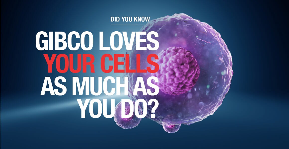 WPR2738-workflow-3 WPR2738-workflow-3