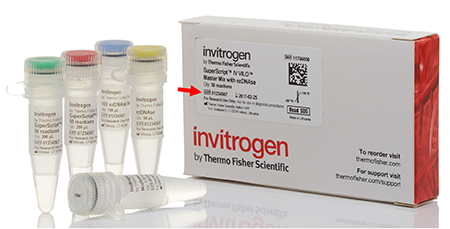 Example Product Box with Lot Number Example of a product box with an arrow indicating the lot number information on the product label