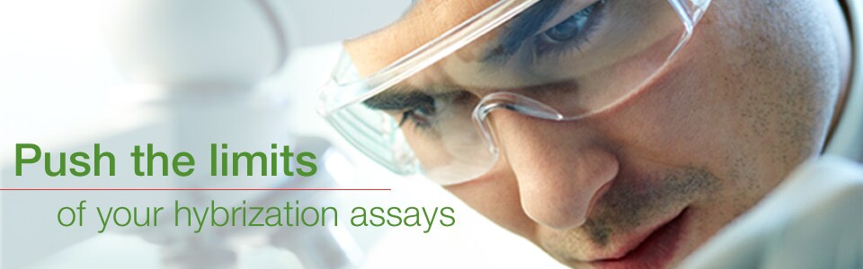 Push the limits of your hybrization assays Push the limits of your hybrization assays