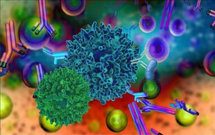 T cell proliferation and stimulation ecourse T cell proliferation and stimulation ecourse