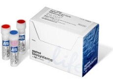 bigdye_pic bigdye_pic