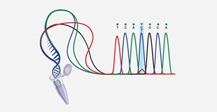 WB32758-310x160-HP_PC WB32758-310x160-HP_PC