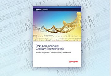 WB31610-362x250-SP_CXX WB31610-362x250-SP_CXX