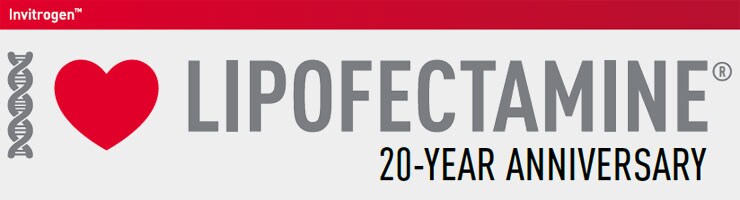 引领转染领域20年 更好的Lipofectamine转染试剂