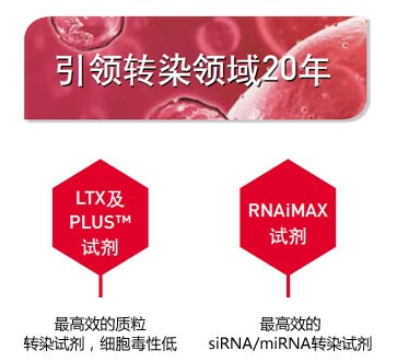 引领转染领域20年 更好的Lipofectamine转染试剂