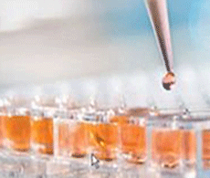 Biochemical-Assay Biochemical-Assay