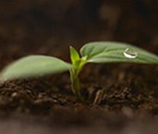 showcase.par.5325.image.0.0.1 showcase.par.5325.image.0.0.1