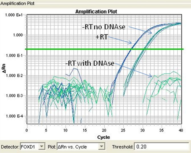 RNA Isolation for qRTPCR Thermo Fisher Scientific CN