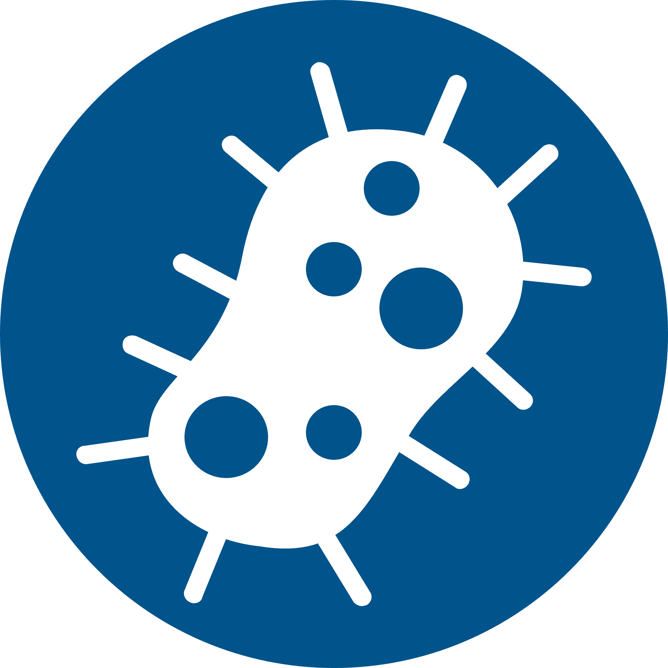 细胞培养污染 细胞培养污染