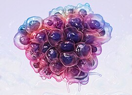 Gibco Cancer Basics Gibco Cancer Basics