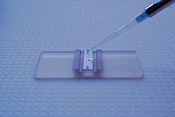 Hemocytometer Pipette injecting liquid into a hemocytometer slide