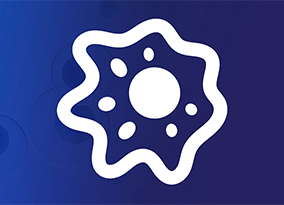 Cell Lines, Culture Types, and Cell Morphology cell icon