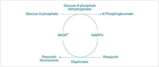 viability-cytotoxicity-assay-kits.par.96988.image.559.235.1.s001685-enzymatic-assay-gif viability-cytotoxicity-assay-kits.par.96988.image.559.235.1.s001685-enzymatic-assay-gif