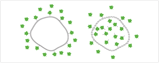 viability-cytotoxicity-assay-kits.par.97163.image.559.224.1.s001153-fixable-green-dead-cell-stain-kit-gif viability-cytotoxicity-assay-kits.par.97163.image.559.224.1.s001153-fixable-green-dead-cell-stain-kit-gif