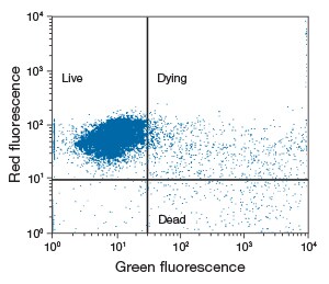s001696-vybrant s001696-vybrant