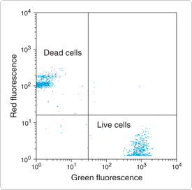 viability-cytotoxicity-assay-kits.par.62394.image.275.272.1.s000247-flow-cytometric-viability-assay-gif viability-cytotoxicity-assay-kits.par.62394.image.275.272.1.s000247-flow-cytometric-viability-assay-gif