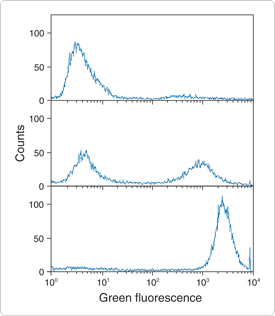 viability-cytotoxicity-assay-kits.par.28007.image.275.316.1.s001176-flow-cytometry-cells-gif viability-cytotoxicity-assay-kits.par.28007.image.275.316.1.s001176-flow-cytometry-cells-gif