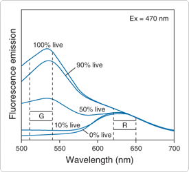 viability-cytotoxicity-assay-kits.par.68330.image.275.250.1.s000255-baclight-bacterial-viability-kit-gif viability-cytotoxicity-assay-kits.par.68330.image.275.250.1.s000255-baclight-bacterial-viability-kit-gif