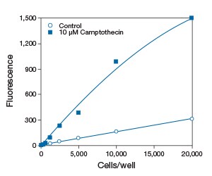 s001511-vybrant s001511-vybrant