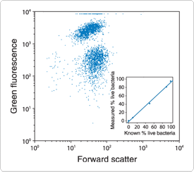 viability-cytotoxicity-assay-reagents.par.69473.image.275.244.1.s000249-sytox-green-nucleic-acid-stain-gif viability-cytotoxicity-assay-reagents.par.69473.image.275.244.1.s000249-sytox-green-nucleic-acid-stain-gif