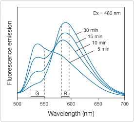 viability-cytotoxicity-assay-reagents.par.27253.image.275.250.1.s000254-saccharomyces-cerevisiae-gif viability-cytotoxicity-assay-reagents.par.27253.image.275.250.1.s000254-saccharomyces-cerevisiae-gif