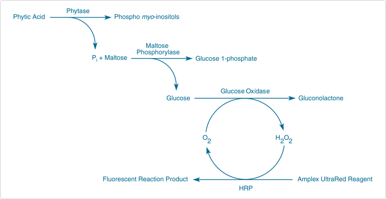detecting-enzymes.par.26540.image.750.387.1.s002483-enzchek-ultra-phytase-assay-gif detecting-enzymes.par.26540.image.750.387.1.s002483-enzchek-ultra-phytase-assay-gif