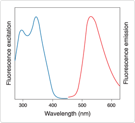 detecting-enzymes.par.42596.image.275.251.1.s001364-phosphatase-substrate-gif detecting-enzymes.par.42596.image.275.251.1.s001364-phosphatase-substrate-gif