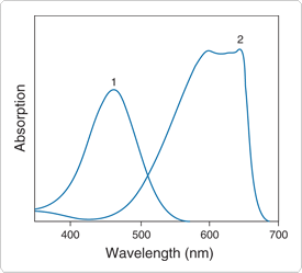detecting-enzymes.par.4632.image.275.249.1.s000196-galactoside-gif detecting-enzymes.par.4632.image.275.249.1.s000196-galactoside-gif