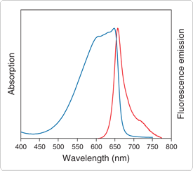 detecting-enzymes.par.2500.image.275.243.1.s001311-fluorescence-emission-spectra-ddao-gif detecting-enzymes.par.2500.image.275.243.1.s001311-fluorescence-emission-spectra-ddao-gif