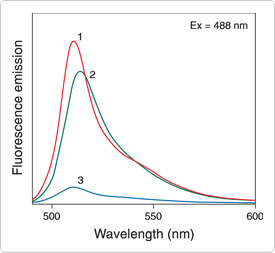 detecting-enzymes.par.33432.image.275.253.1.s001026-fluorescence-emission-spectra-gif detecting-enzymes.par.33432.image.275.253.1.s001026-fluorescence-emission-spectra-gif