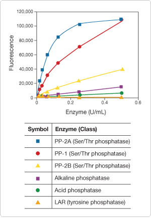 detecting-enzymes.par.97815.image.300.432.1.s002398-threonine-phosphatase-assay-kit-gif detecting-enzymes.par.97815.image.300.432.1.s002398-threonine-phosphatase-assay-kit-gif