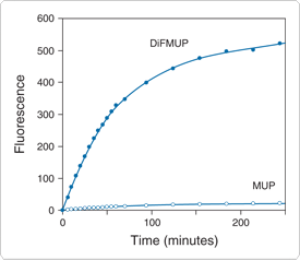 detecting-enzymes.par.24547.image.275.238.1.s001304-prostatic-acid-phosphatase-gif detecting-enzymes.par.24547.image.275.238.1.s001304-prostatic-acid-phosphatase-gif