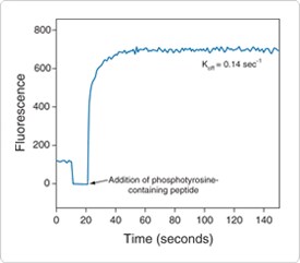 detecting-enzymes.par.75549.image.275.241.1.s002283-antibody-beacon-tyrosine-kinase-gif detecting-enzymes.par.75549.image.275.241.1.s002283-antibody-beacon-tyrosine-kinase-gif