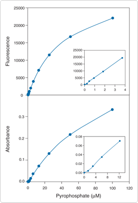 detecting-enzymes.par.45210.image.275.406.1.s001182-pyrophosphate-assay-gif detecting-enzymes.par.45210.image.275.406.1.s001182-pyrophosphate-assay-gif