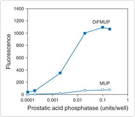 detecting-enzymes.par.74719.image.275.239.1.s000923-phosphatase-activity-gif detecting-enzymes.par.74719.image.275.239.1.s000923-phosphatase-activity-gif