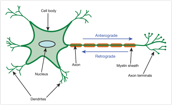 polar-tracers.par.63404.image.559.343.1.s007768-gif polar-tracers.par.63404.image.559.343.1.s007768-gif