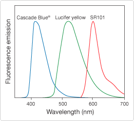 polar-tracers.par.10255.image.275.250.1.s000241-cascade-blue-hydrazide-gif polar-tracers.par.10255.image.275.250.1.s000241-cascade-blue-hydrazide-gif
