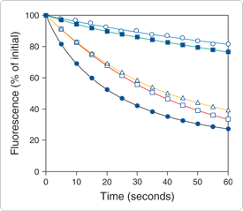 polar-tracers.par.29216.image.275.239.1.s000113-fluorescent-antibody-conjugates-gif polar-tracers.par.29216.image.275.239.1.s000113-fluorescent-antibody-conjugates-gif