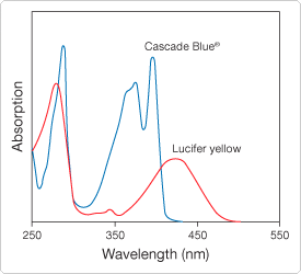 polar-tracers.par.10432.image.275.250.1.s000240-cascade-blue-hydrazide-gif polar-tracers.par.10432.image.275.250.1.s000240-cascade-blue-hydrazide-gif