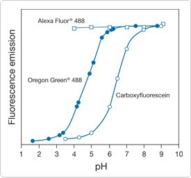 polar-tracers.par.50151.image.275.256.1.s000114-ph-dependent-fluorescence-gif polar-tracers.par.50151.image.275.256.1.s000114-ph-dependent-fluorescence-gif
