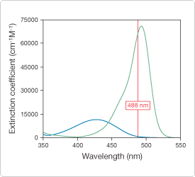 polar-tracers.par.57806.image.275.250.1.s001151-molar-extinction-coefficient-gif polar-tracers.par.57806.image.275.250.1.s001151-molar-extinction-coefficient-gif