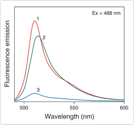 bodipy.par.49516.image.275.255.1.s001170-bodipy-dye-gif bodipy.par.49516.image.275.255.1.s001170-bodipy-dye-gif