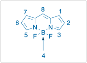 The structure and numbering of the BODIPY fluorophore, 4,4-difluoro-4-bora-3a,4a-diaza-s-indacene. The structure and numbering of the BODIPY fluorophore, 4,4-difluoro-4-bora-3a,4a-diaza-s-indacene.
