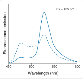 probes-ion-channels-carriers.par.12527.image.275.260.1.s003287-premo-gif probes-ion-channels-carriers.par.12527.image.275.260.1.s003287-premo-gif