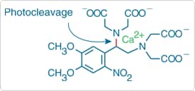 chelators-calibration-buffers.par.22736.image.275.129.1.s001413-yield-calcium-gif chelators-calibration-buffers.par.22736.image.275.129.1.s001413-yield-calcium-gif